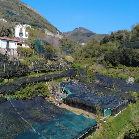Antica Cartiera Sant'Elia Appartement Tramonti Buitenkant foto