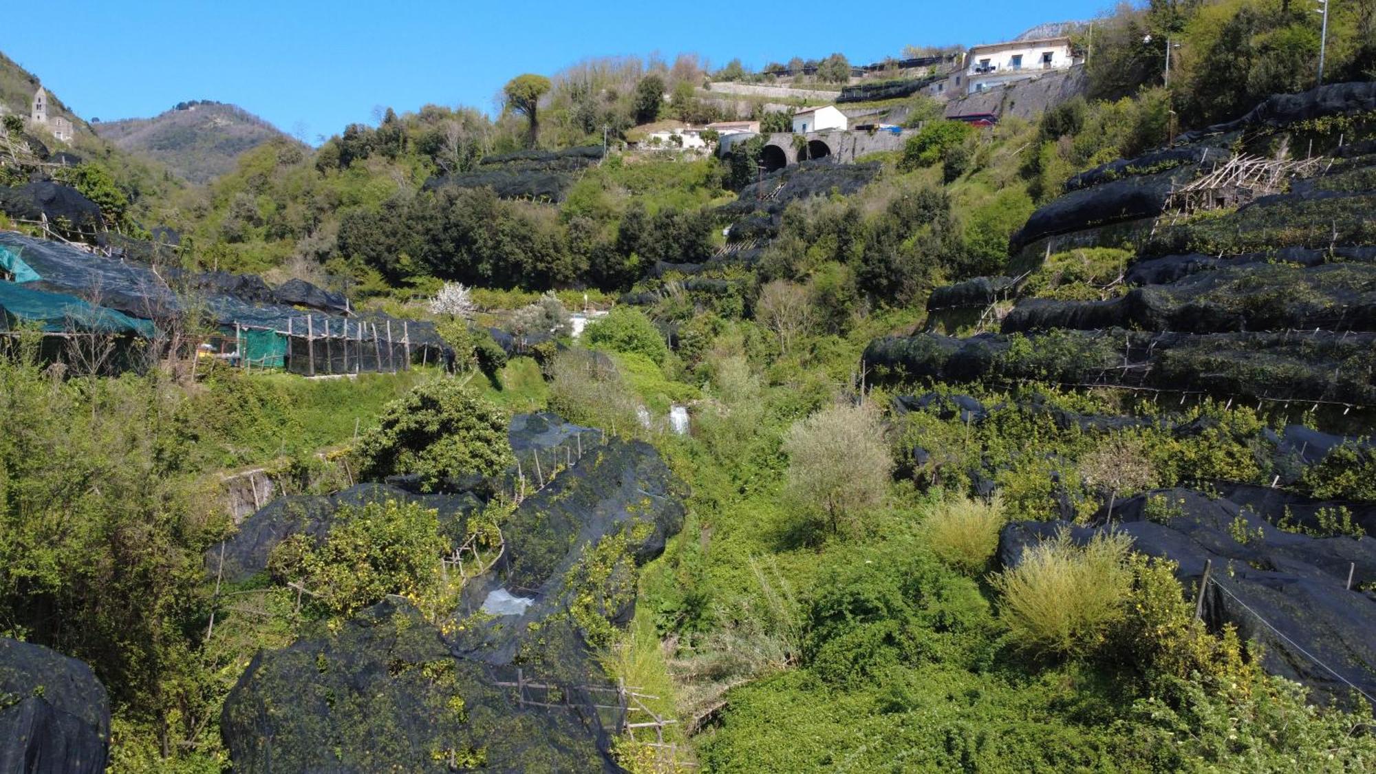 Antica Cartiera Sant'Elia Appartement Tramonti Buitenkant foto